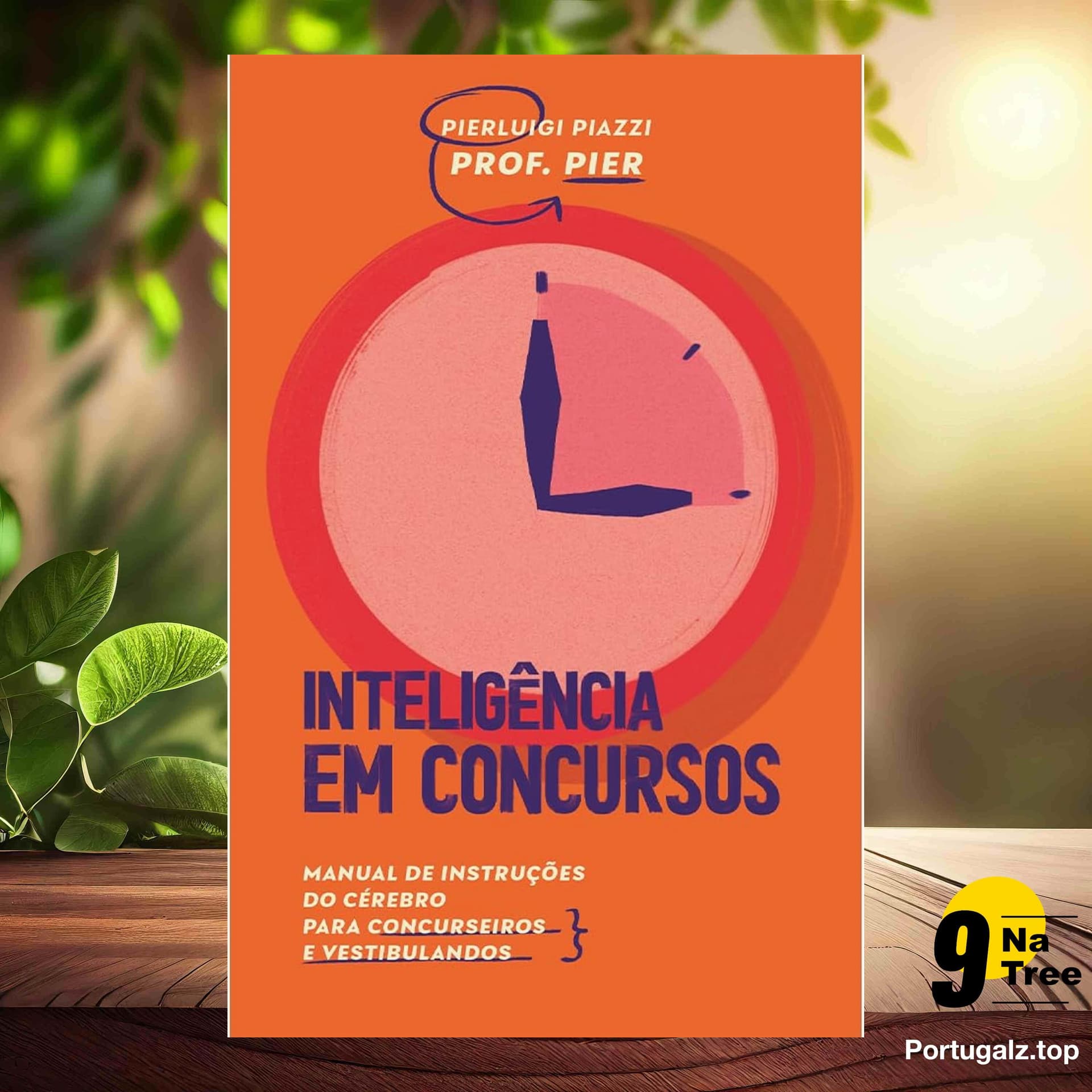 [Análises] Inteligência em Concursos (Pierluigi Piazzi) Resumidos. - 9Natree Brazil cover