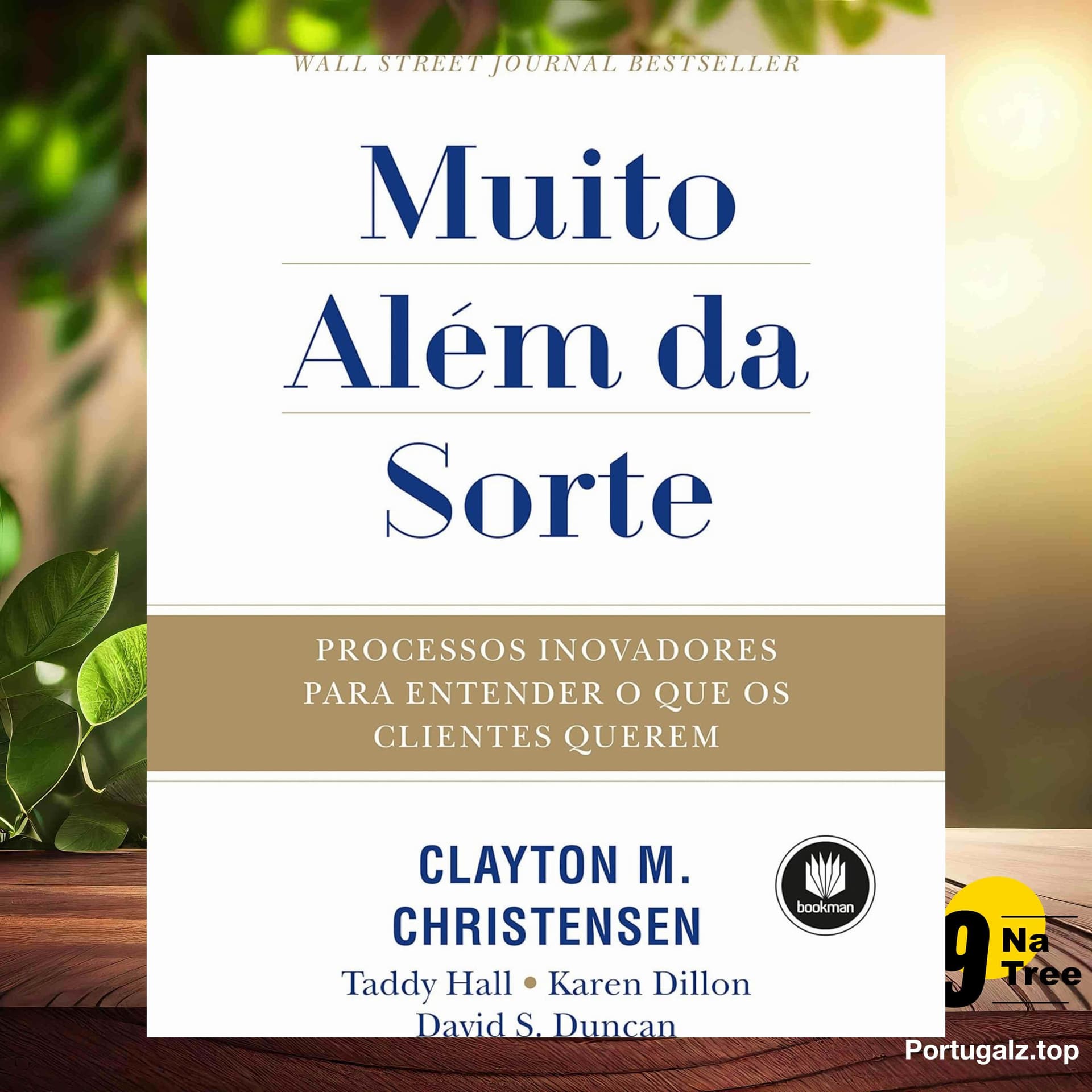 [Análises] Muito Além da Sorte (Clayton Christensen) Resumidos. - 9Natree Brazil cover