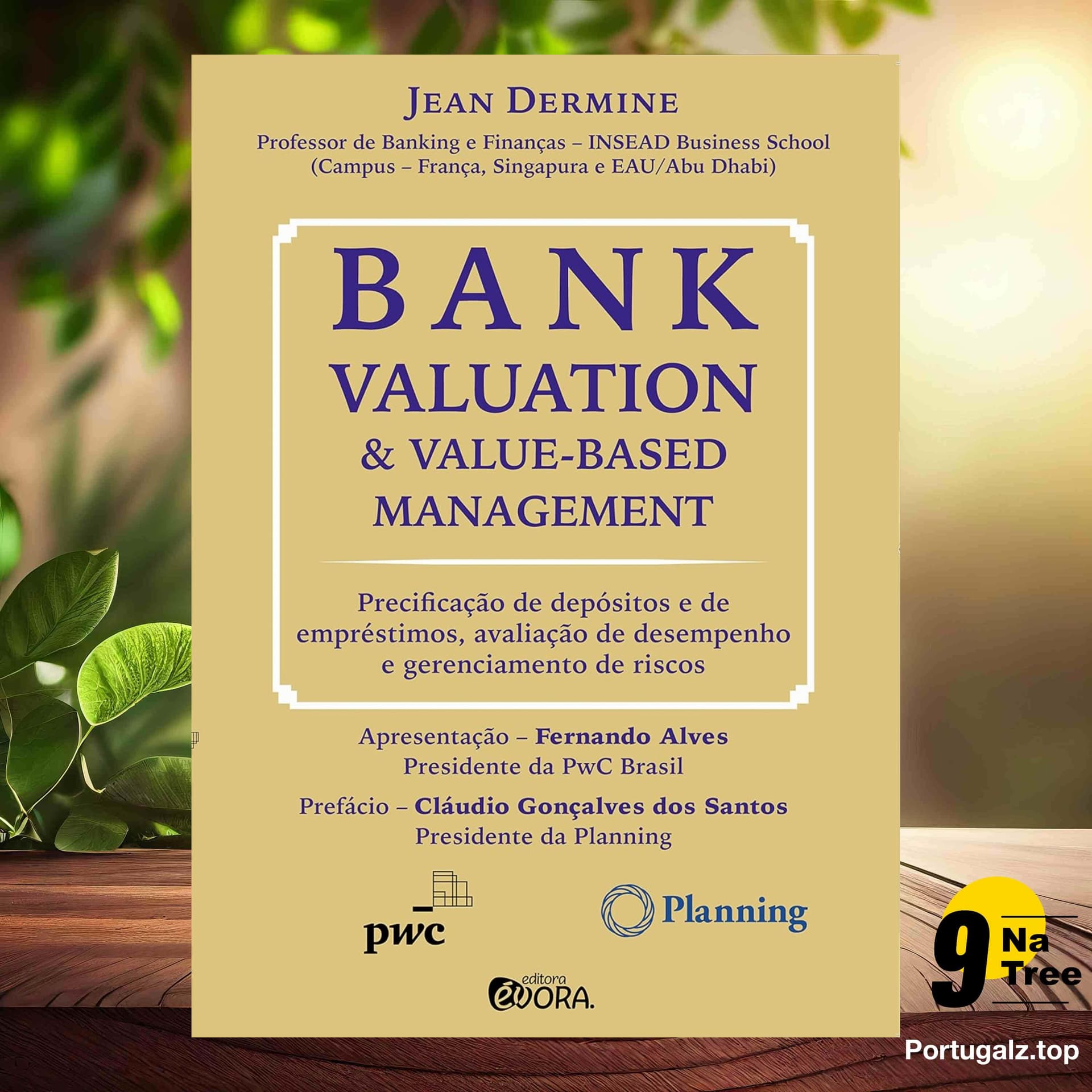 [Análises] Bank valuation and value-based management (Jean Dermine) Resumidos. — 9Natree Brazil cover
