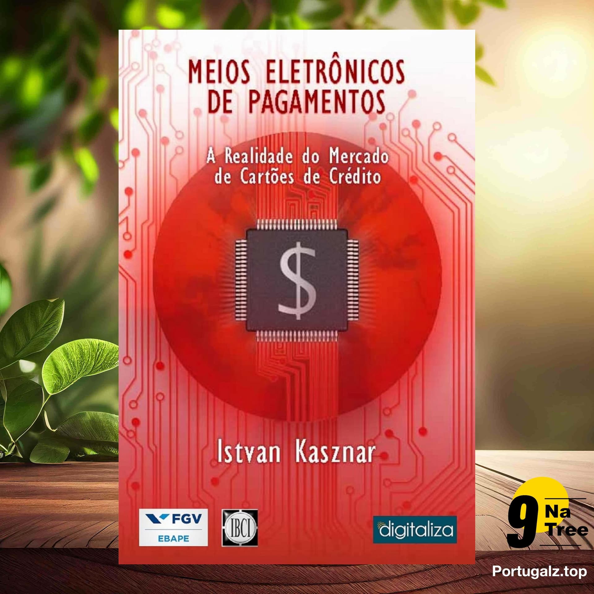 [Análises] Meios Eletrônicos de Pagamento (Istvan Karoly Kasznar) Resumidos. - 9Natree Brazil cover