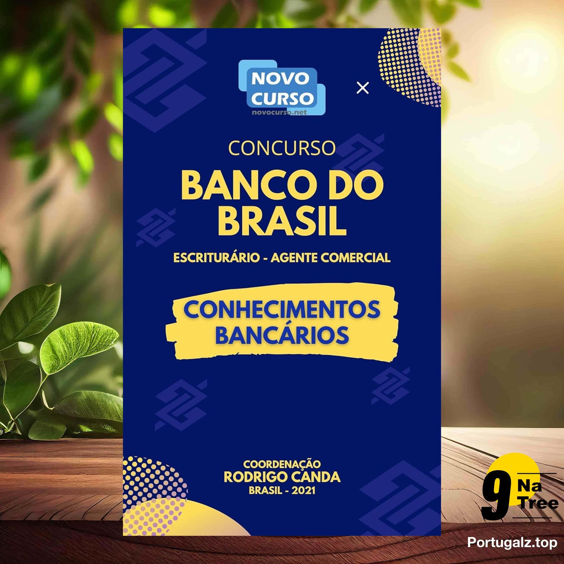 [Análises] CONCURSO BANCO DO BRASIL - CONHECIMENTOS BANCÁRIOS  (RODRIGO CANDA) Resumidos. — 9Natree Brazil cover
