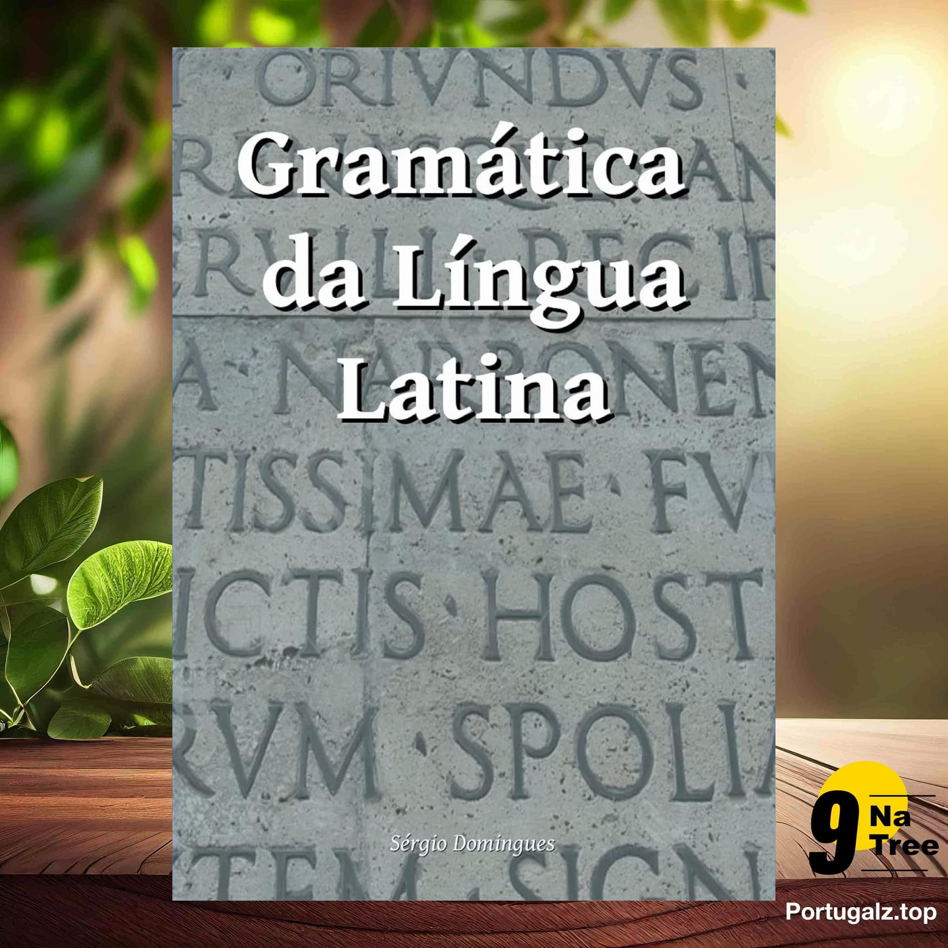 [Análises] Gramática da Língua Latina (Sérgio Domingues) Resumidos. — 9Natree Brazil cover