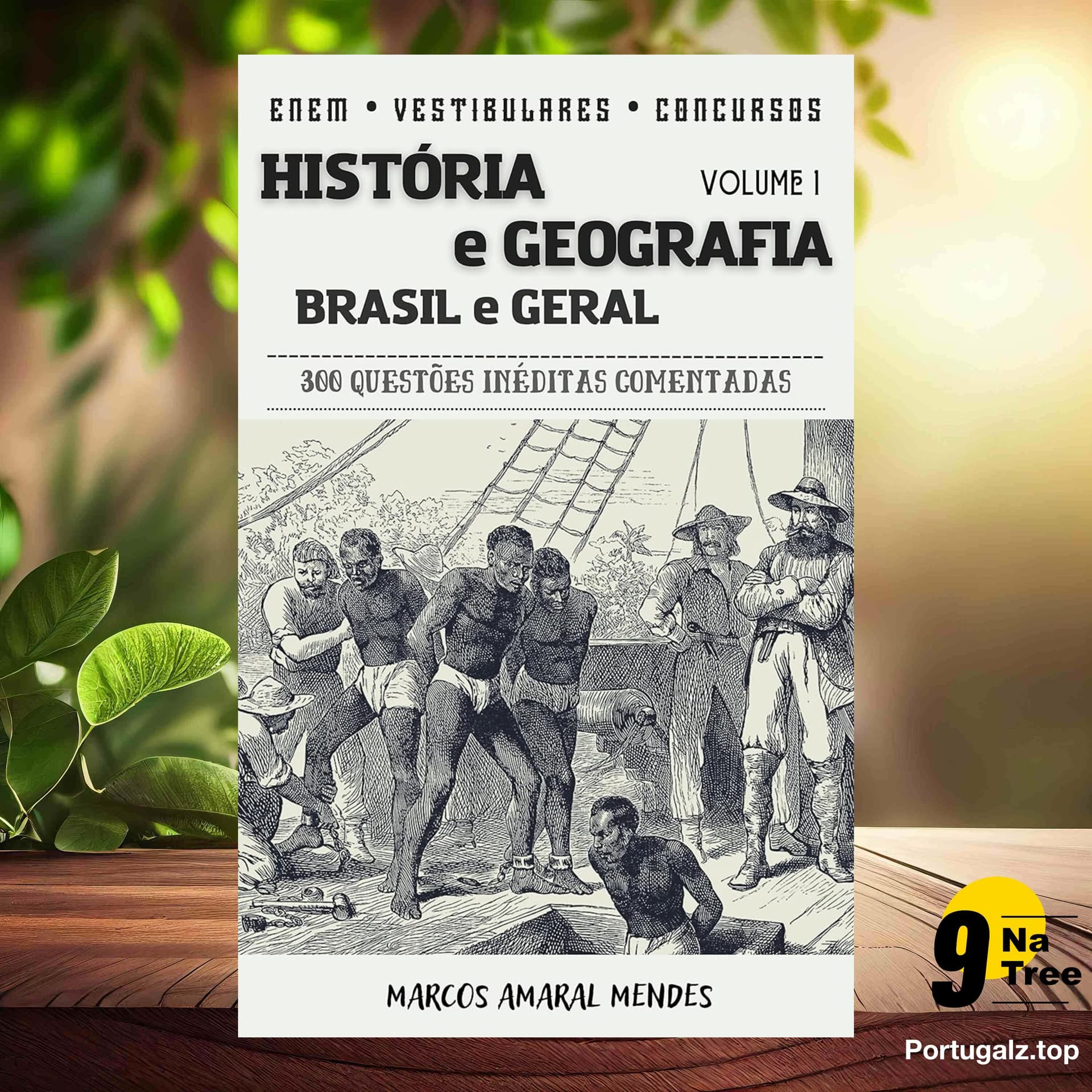 [Análises] História e Geografia (Marcos Amaral Mendes) Resumidos. — 9Natree Brazil cover