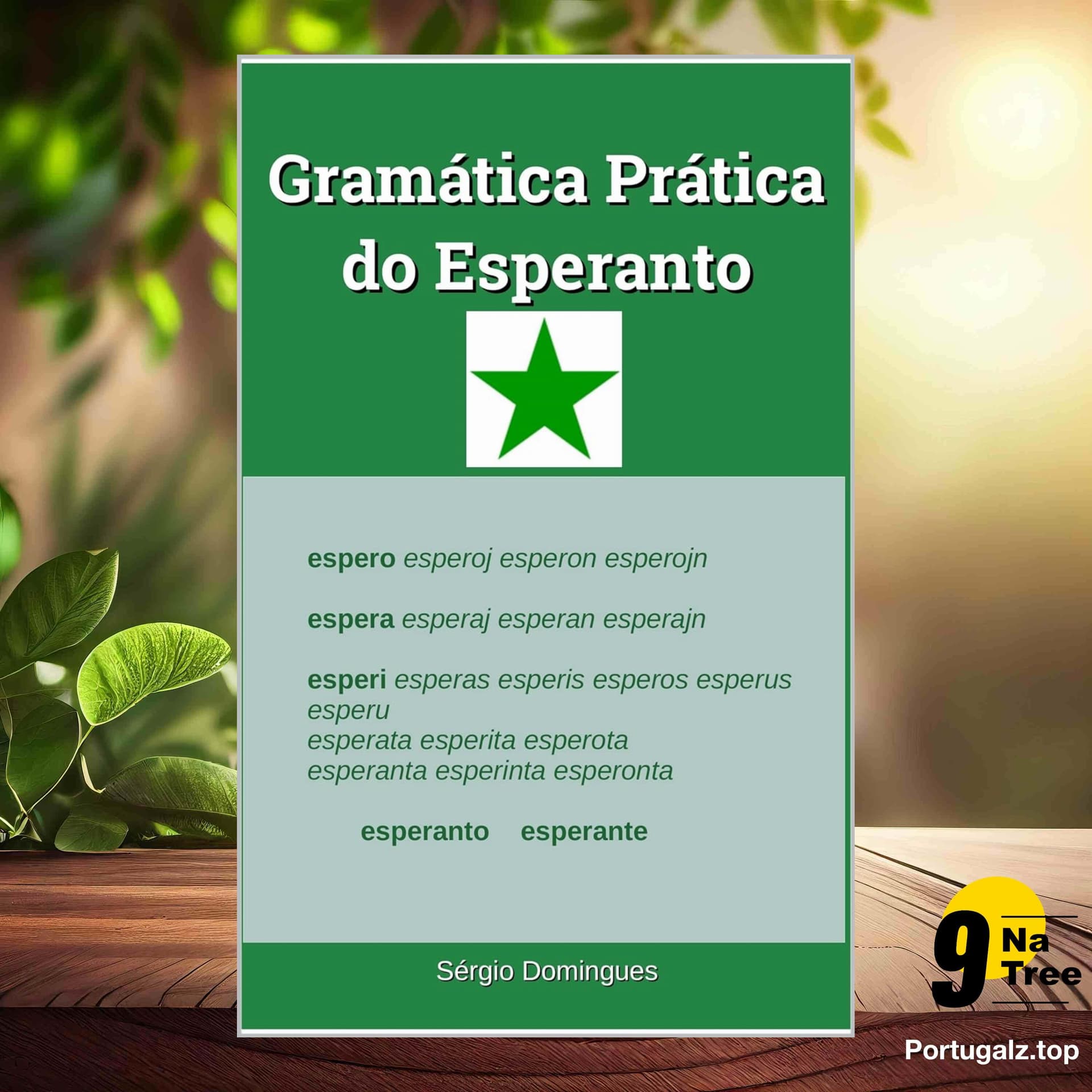 [Análises] Gramática Prática do Esperanto (Sérgio Domingues) Resumidos. - 9Natree Brazil cover