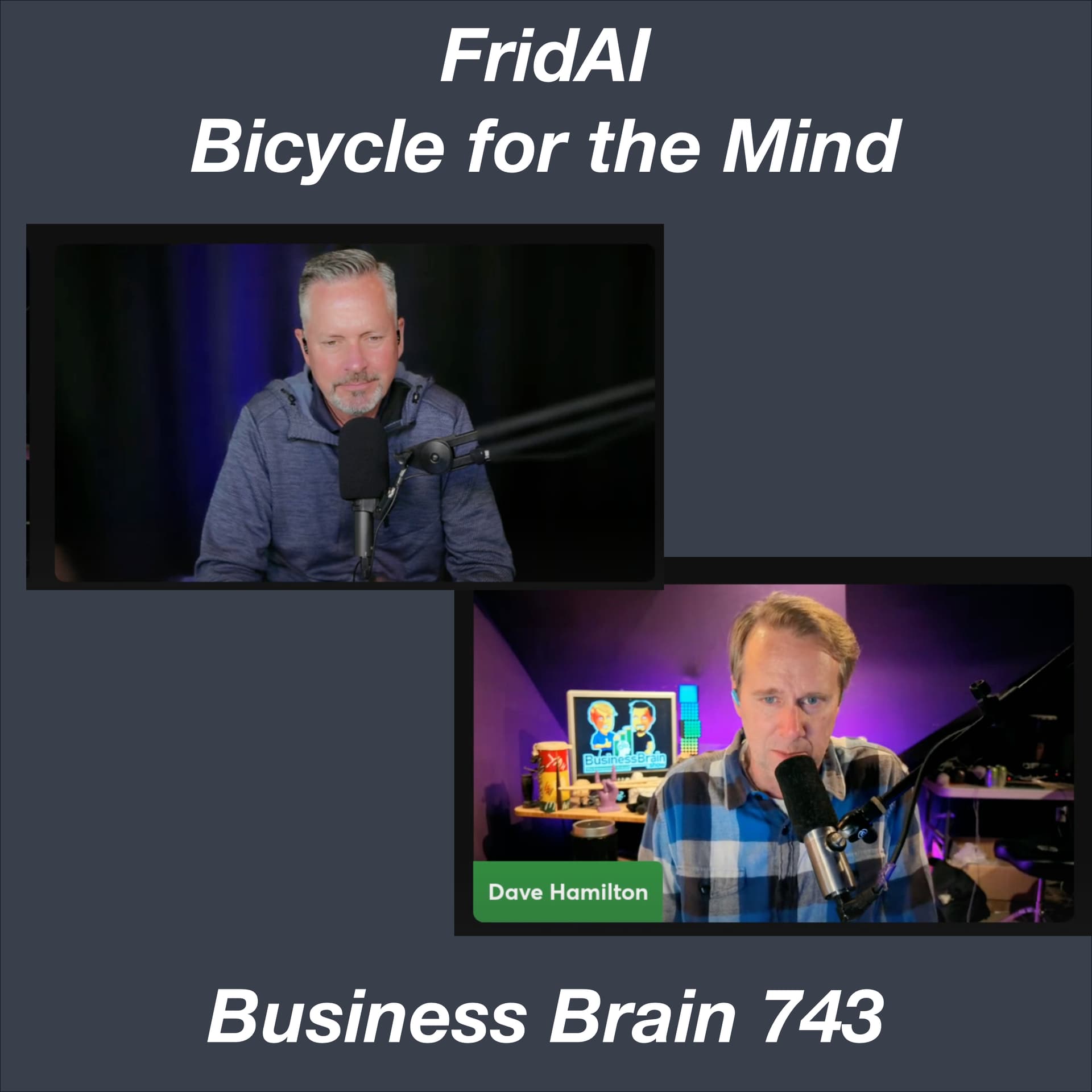 FridAI - Bycicles for the Mind - Business Brain – The Entrepreneurs’ Podcast cover