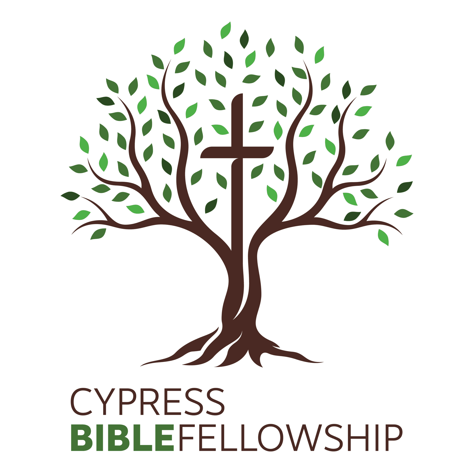 The Cypress Bible Fellowship Podcast cover