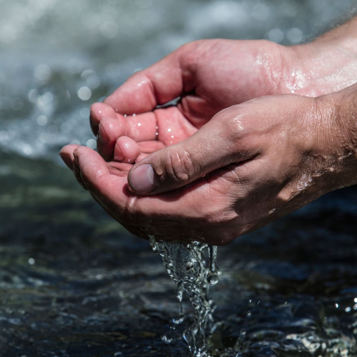 #12457 Are the Sacraments Necessary for Salvation? Faith and Grace - William Albrecht - Catholic Answers Live cover