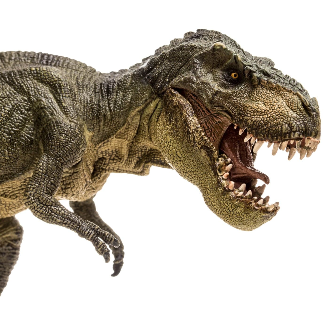 #12683 Do Dinosaurs Create Issues for Catholic Beliefs and Faith? - Jimmy Akin - Catholic Answers Live cover