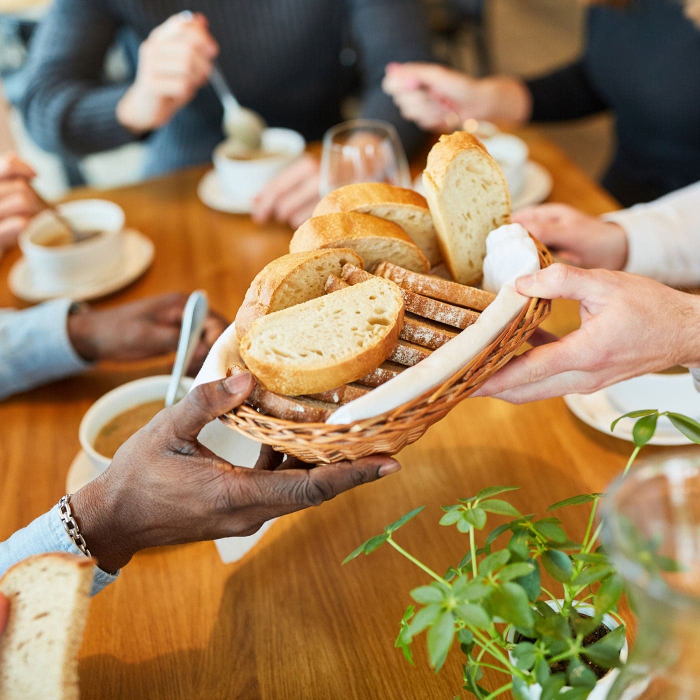 #12471 How to Survive Family Discussions This Thanksgiving and More - Rose Sweet — Catholic Answers Live cover