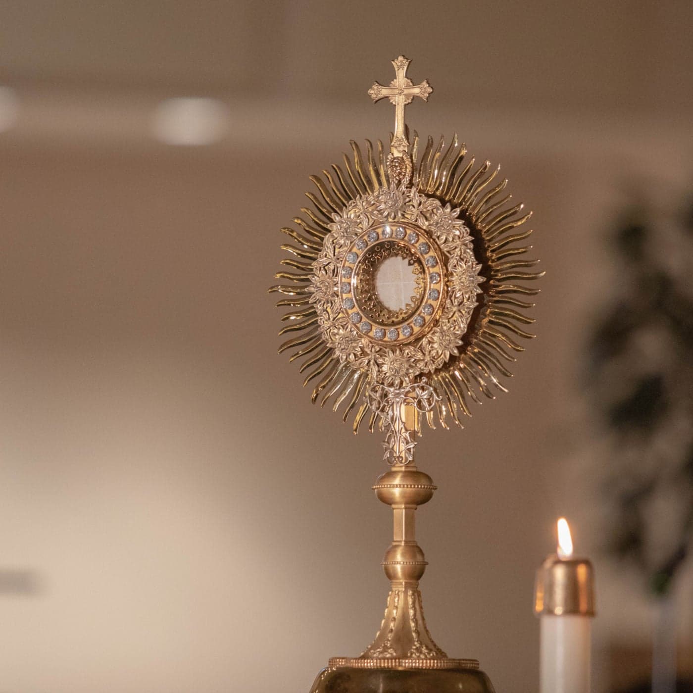 #12480 Why Do We Believe in the Real Presence in the Eucharist? - Joe Heschmeyer — Catholic Answers Live cover