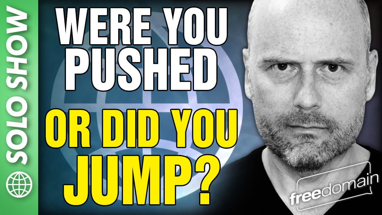 6376 Were You Pushed, or Did You JUMP? - Freedomain with Stefan Molyneux cover