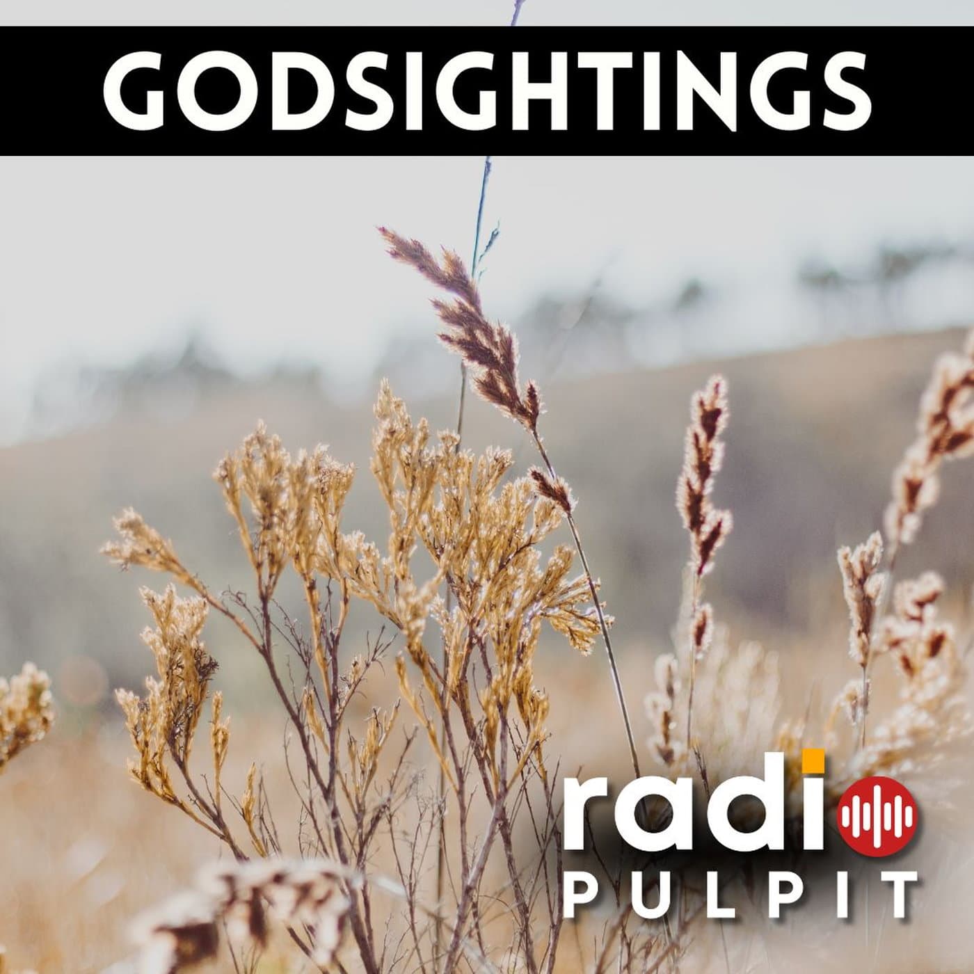 Godsightings - Radio Pulpit cover