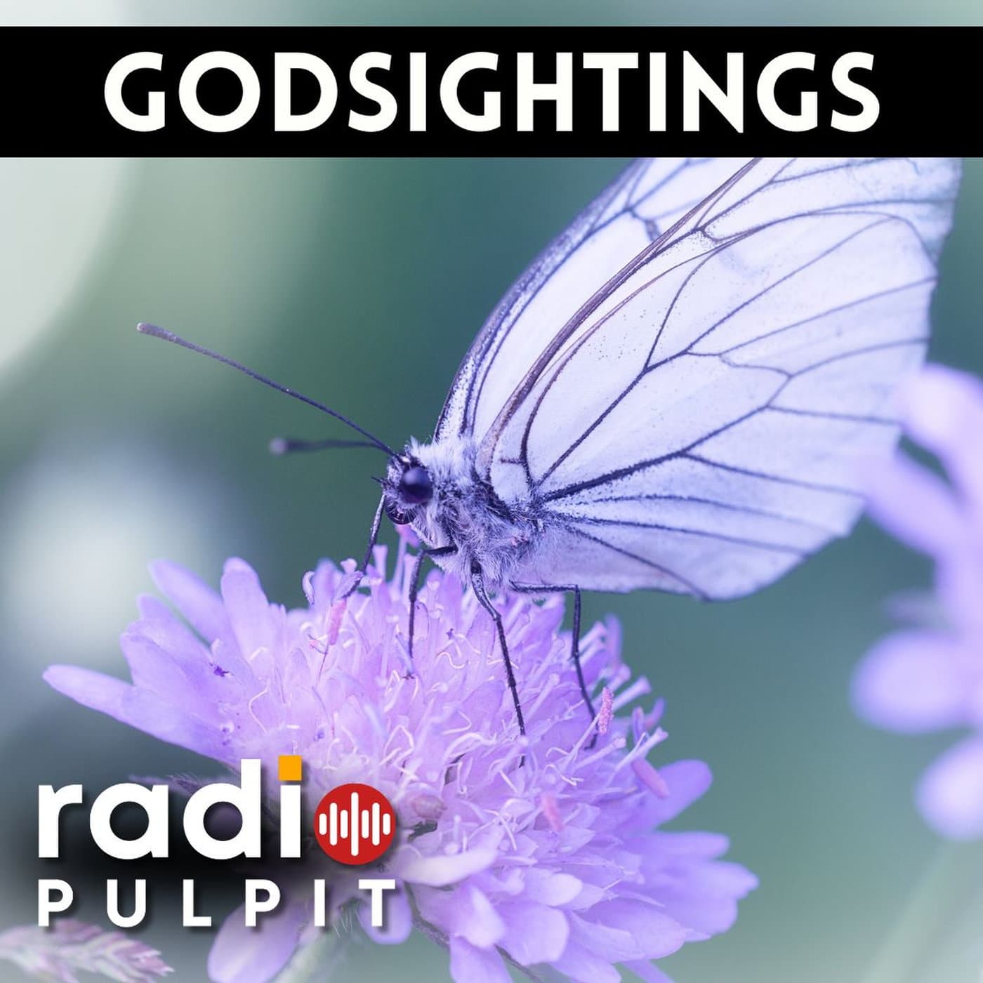 Godsightings for the week - Radio Pulpit cover