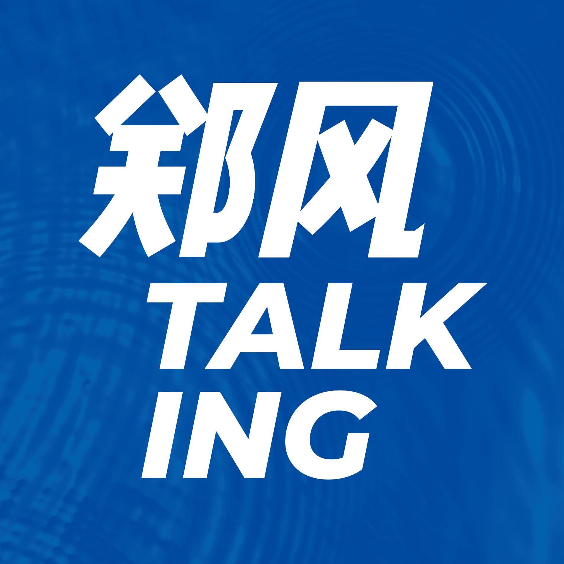 郑风 Talking cover