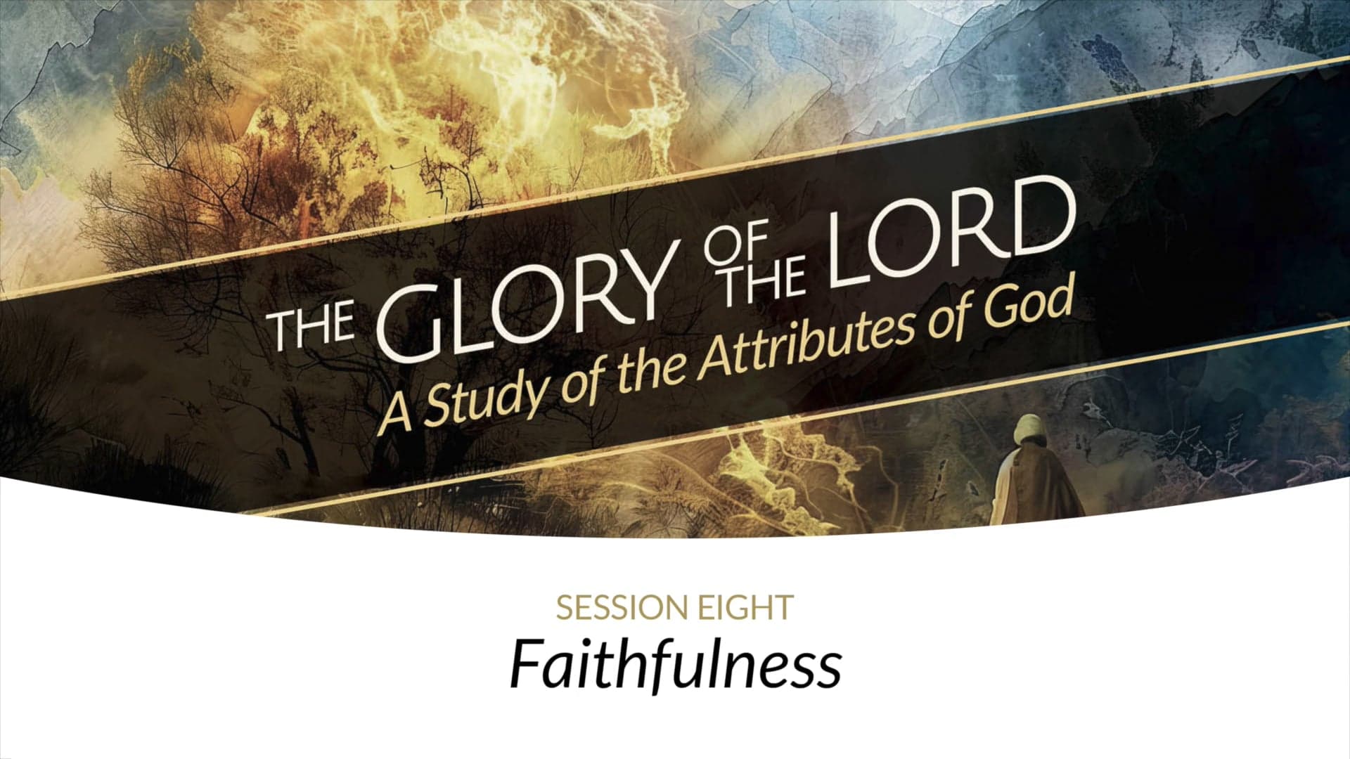 8 – Faithfulness - Christ Church Studies cover