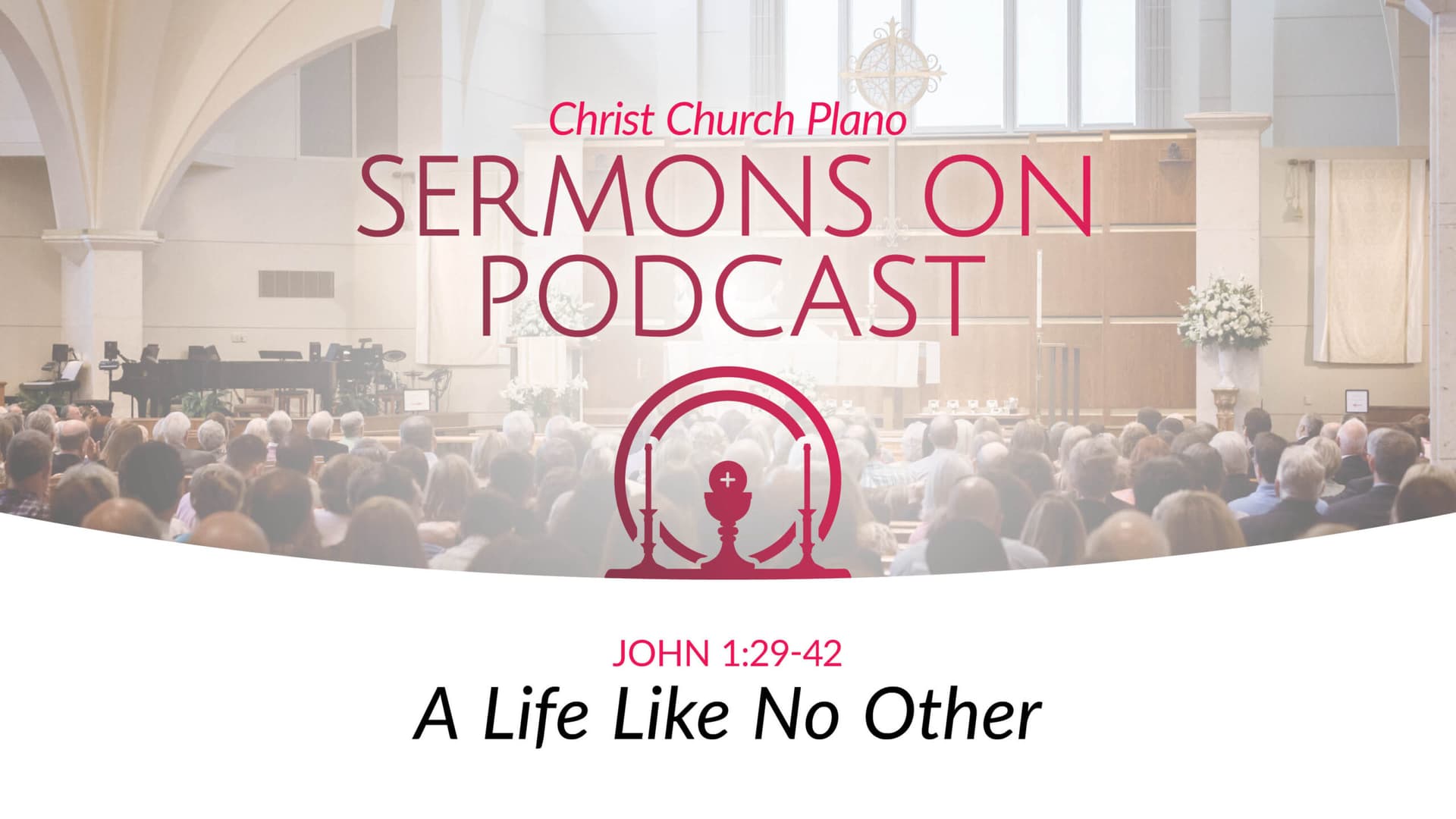 A Life Like No Other - Christ Church Sermons cover