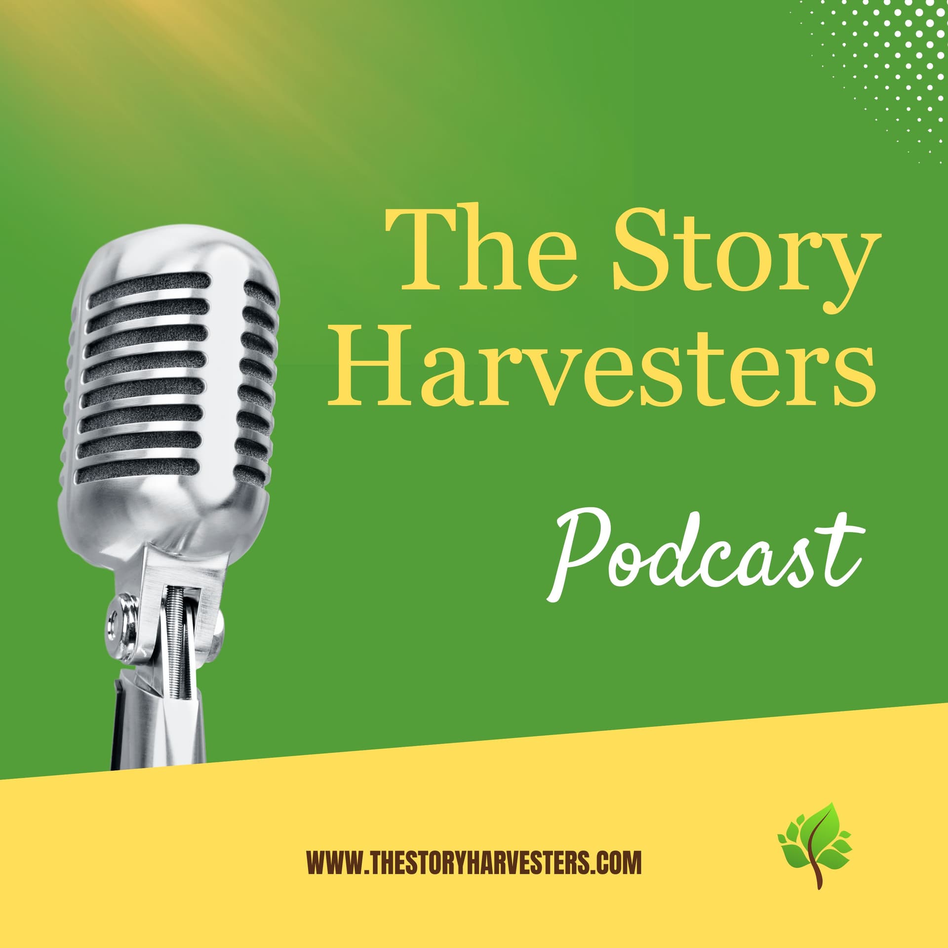 Relationship Reflections: Mirrors of Growth - The Story Harvesters cover