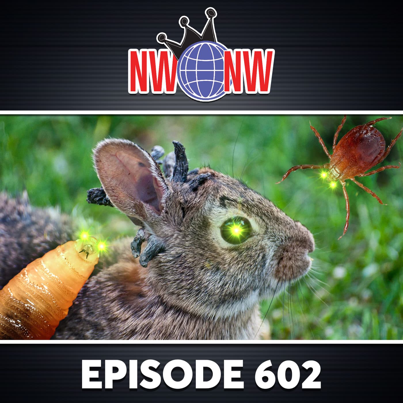 Interview 1970 - Rabbits With Tentacles Tick All The Boxes (NWNW #602) — The Corbett Report - Feature Interviews cover