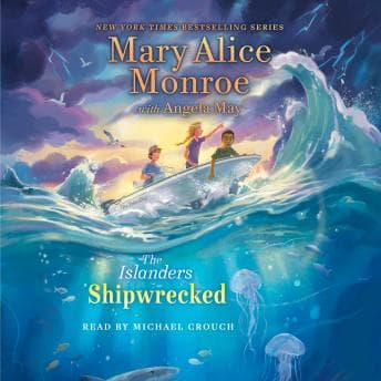 Audiobook: Shipwrecked by Mary Alice Monroe - Hear Premium Audiobook Collection In High-Definition Audio cover