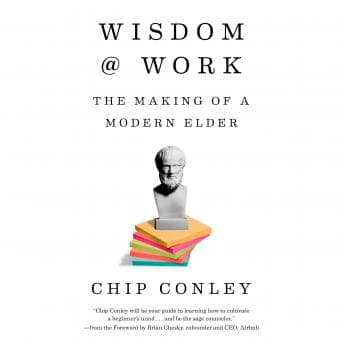 Wisdom at Work: The Making of a Modern Elder by Chip Conley — Find Best-Selling Full Audiobooks in Self-Improvement, Career Development cover
