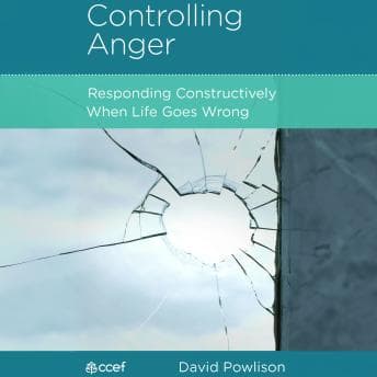 Controlling Anger: Responding Constructively When Life Goes Wrong by David Powlison - Explore A Soul-Stirring Full Audiobook On Your Commute. cover