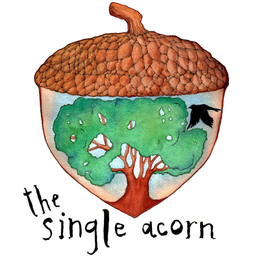 The Single Acorn cover