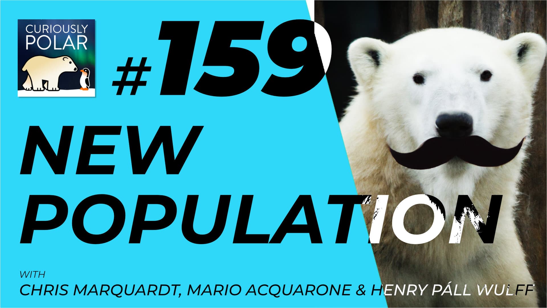 159 A New Polar Bear Population - Curiously Polar cover