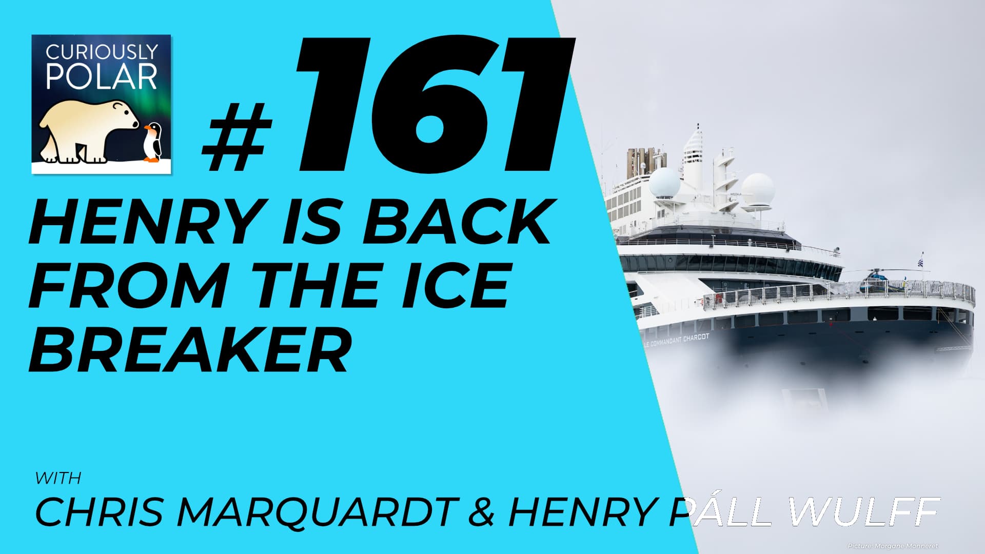 161 Ice Breaker - Curiously Polar cover