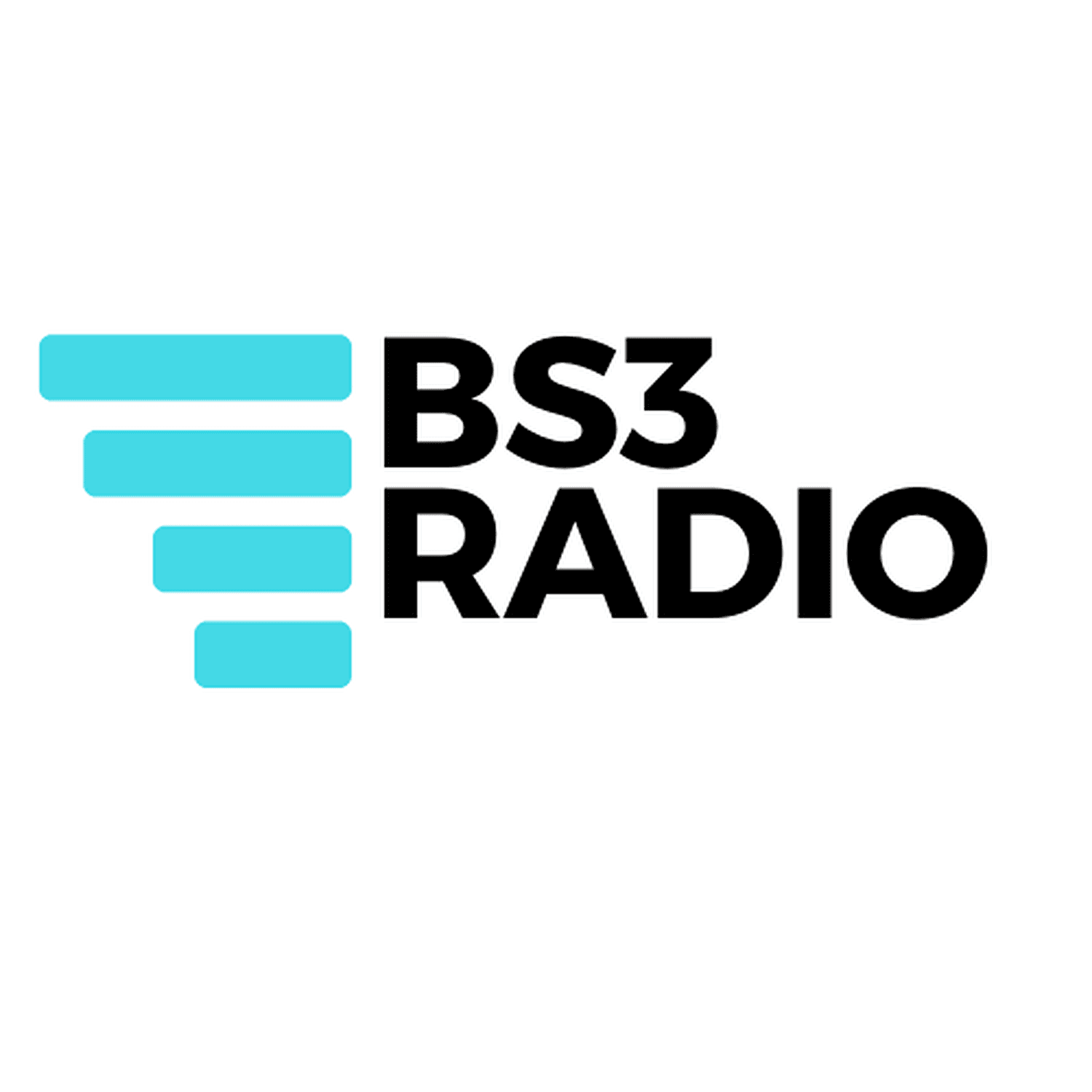 BS3 Radio cover