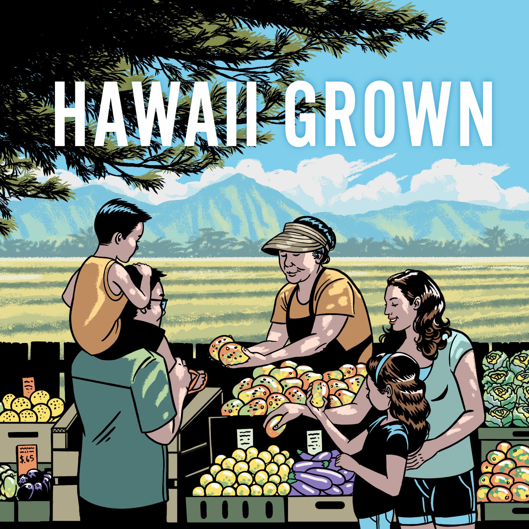 Hawaii Grown cover