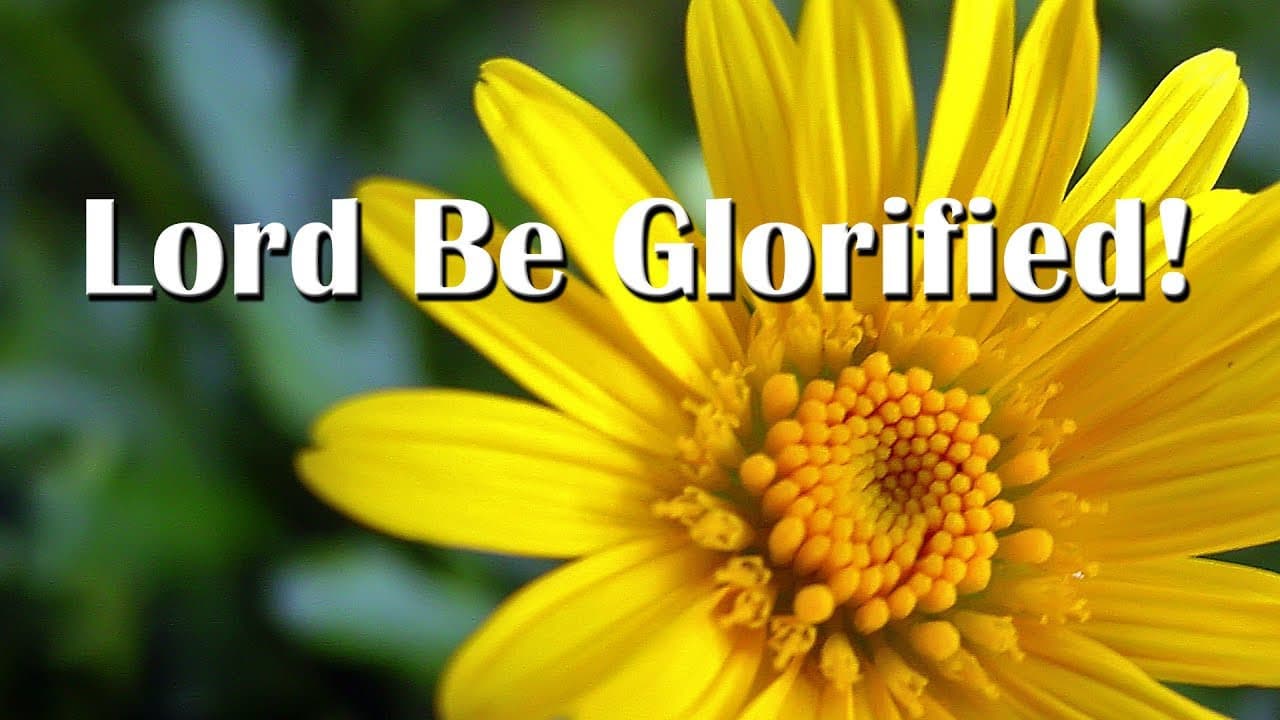 LORD BE GLORIFIED IN ME - Get The Word In Your Face International cover