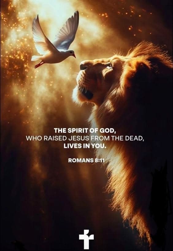 Make It Personal Identify With Christ - Get The Word In Your Face International cover