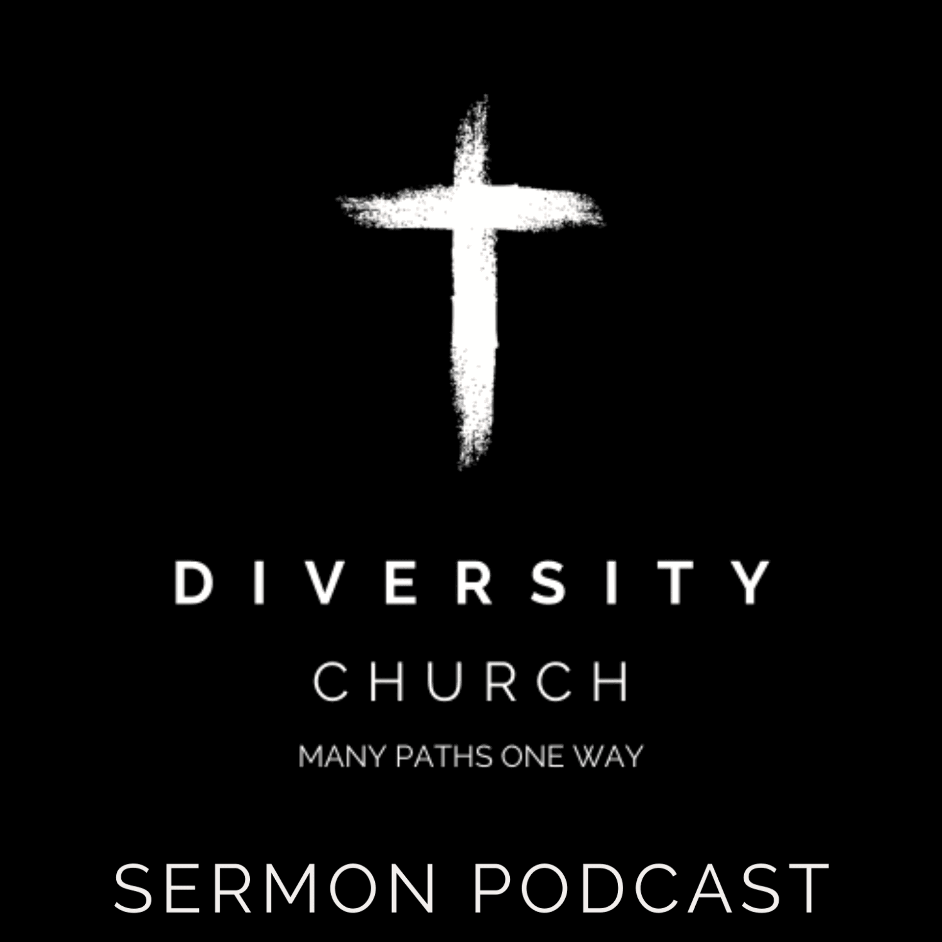 Diversity Church cover