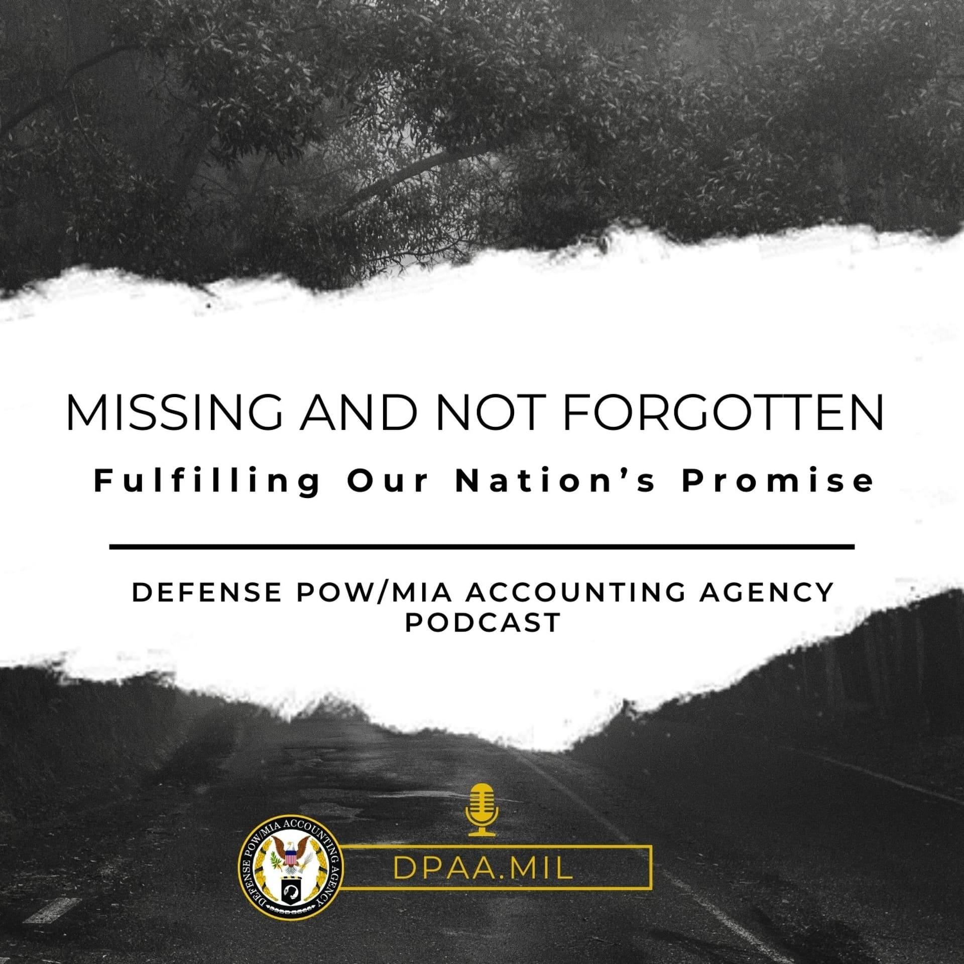 Missing And Not Forgotten cover
