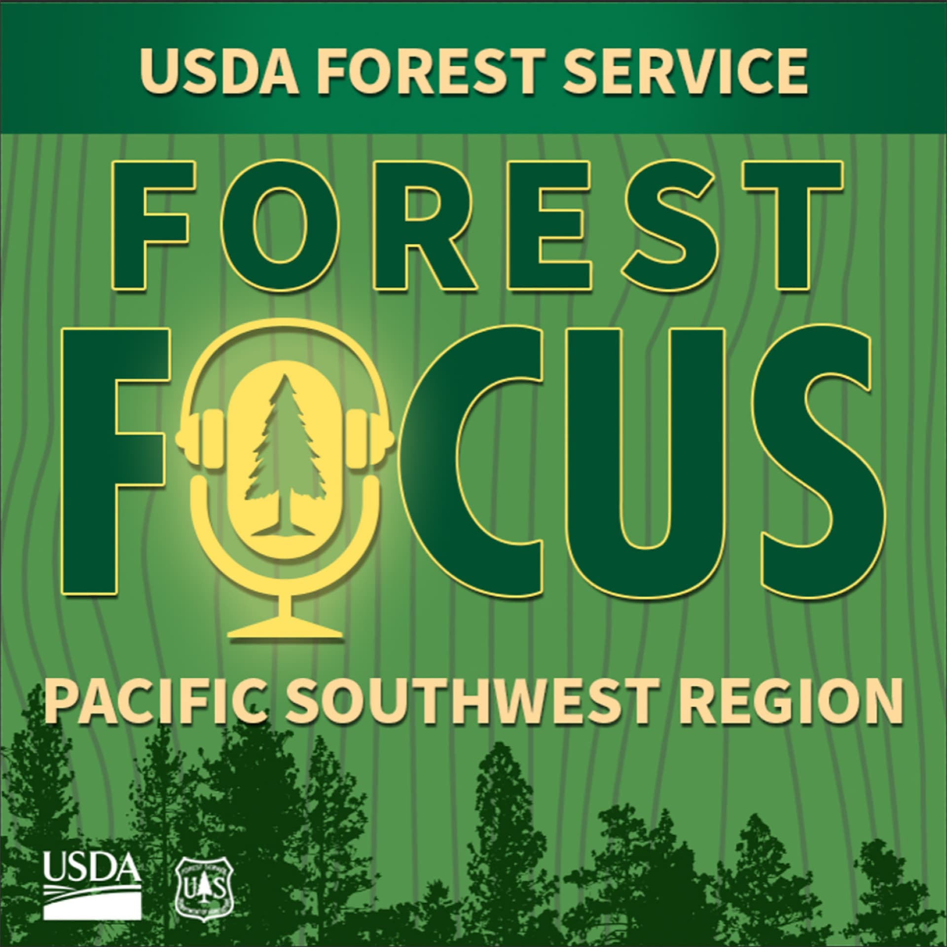 Forest Focus cover