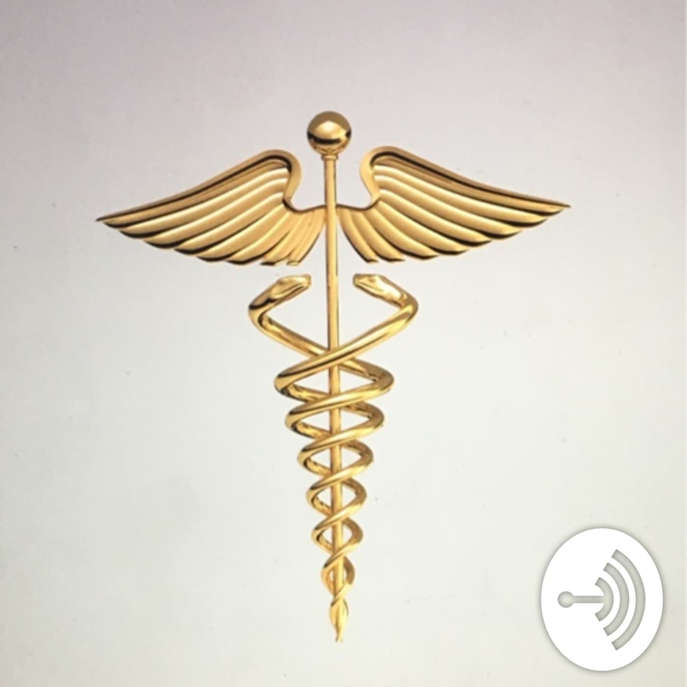 ER 22 - Medical School Audio cover