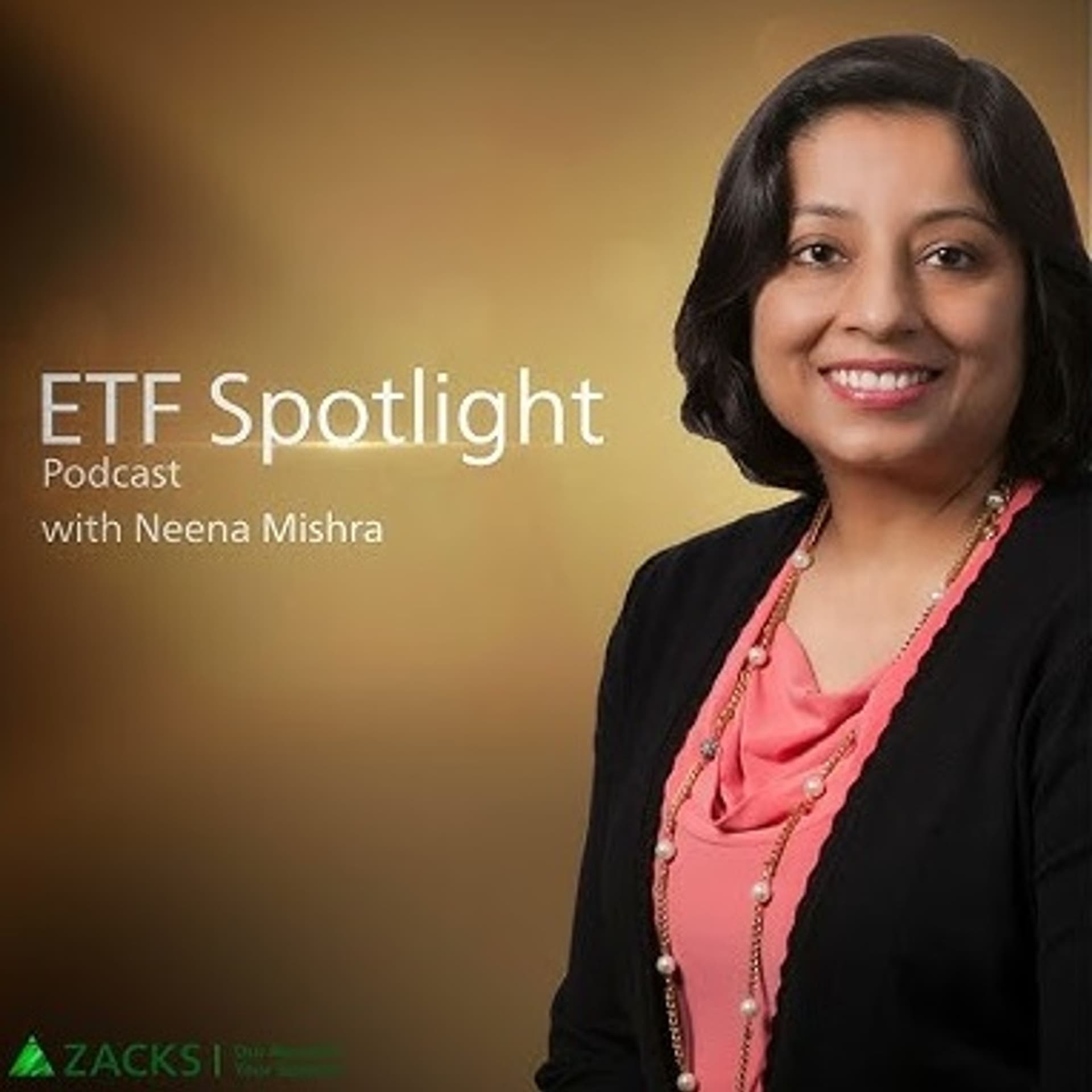 Bonus Interview-Return Stacked ETFs: What You Need To Know - Get Stacked Investment Podcast cover