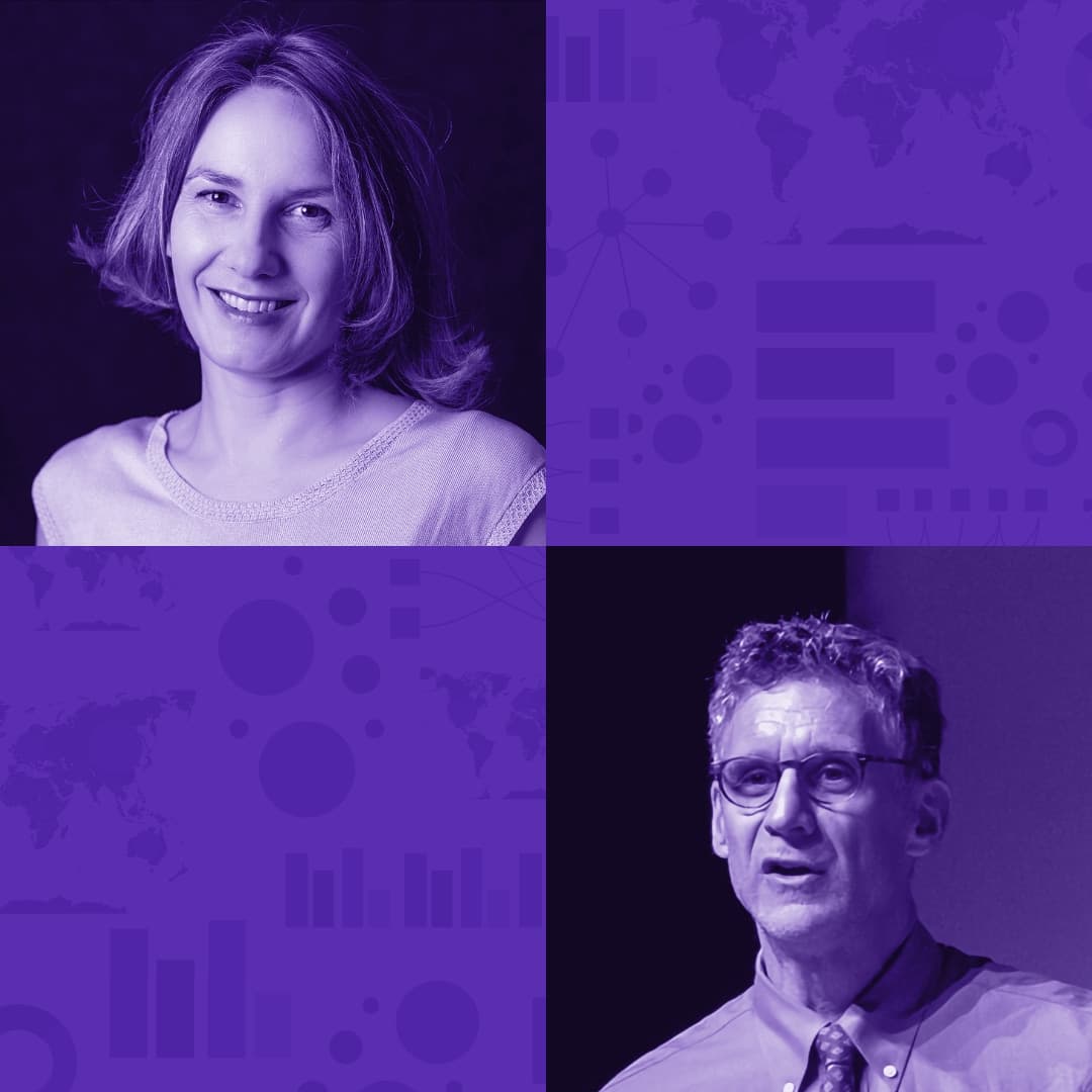 167  |  Visualization and Statistics with Andrew Gelman and Jessica Hullman - Data Stories cover