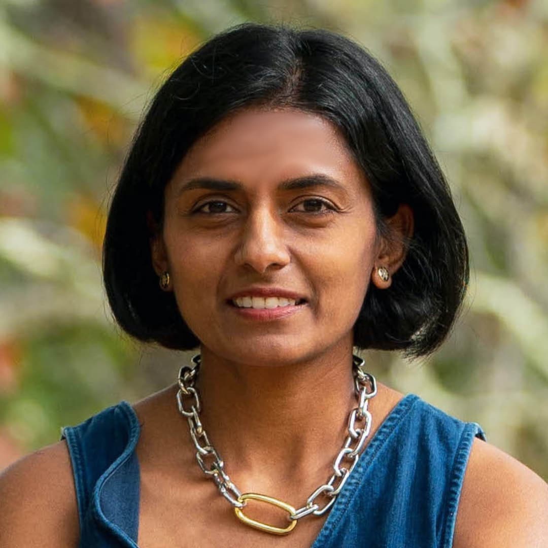 169  |  Data Conversations with Vidya Setlur - Data Stories cover