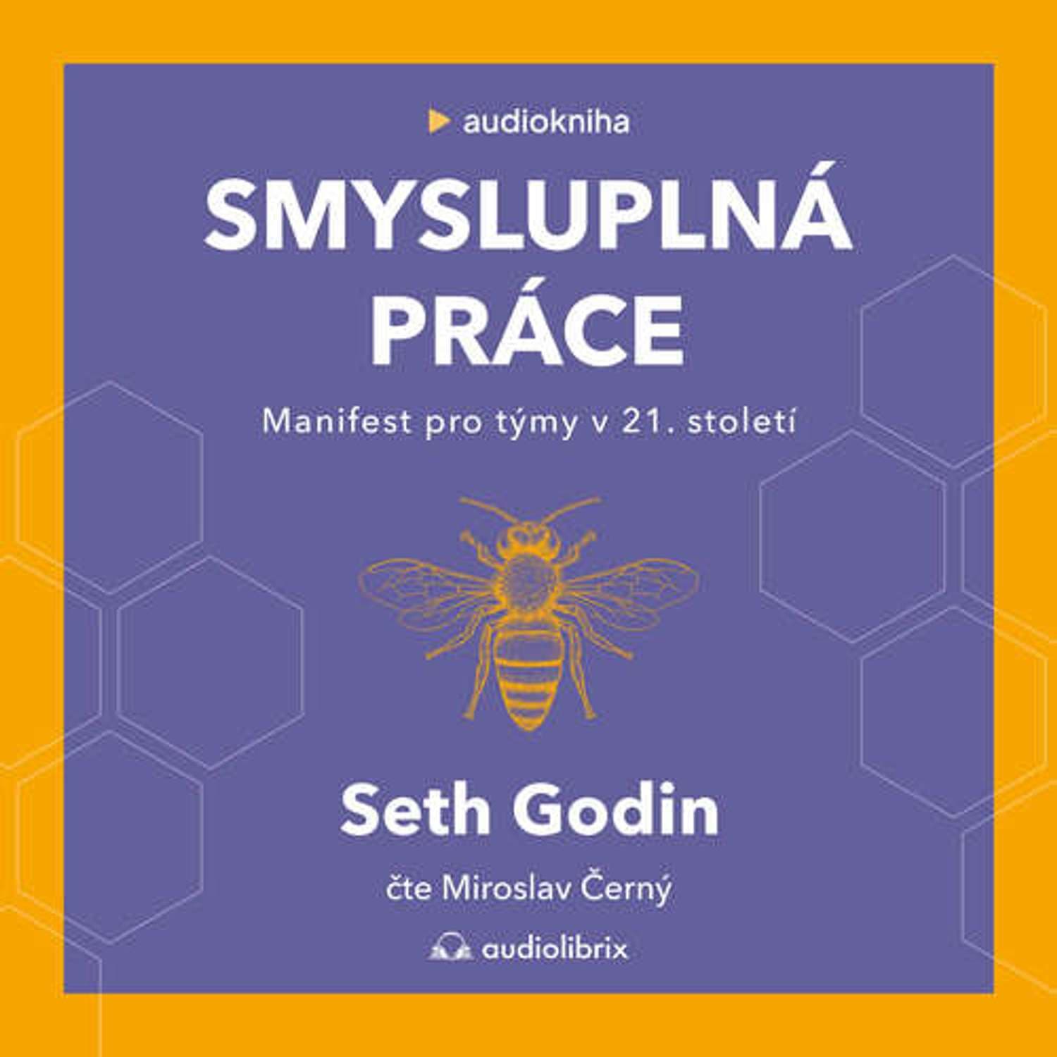 Smysluplná práce (Seth Godin) - Audiolibrix - Audioknihy pro vaše lepší já cover