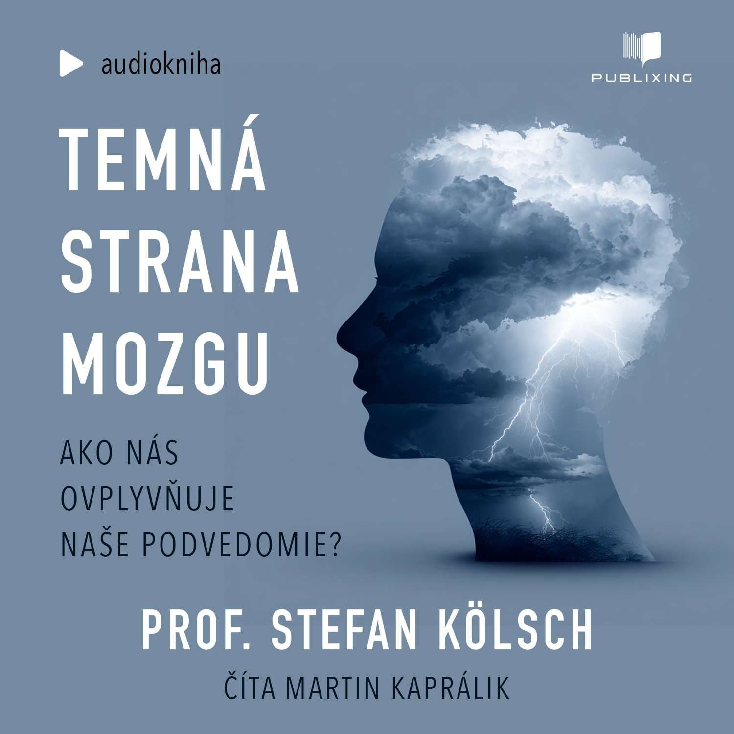 Temná strana mozgu - Publixing - Slovenské a české audioknihy cover