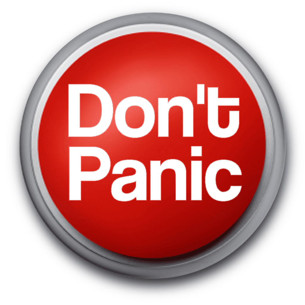 Don't Panic cover