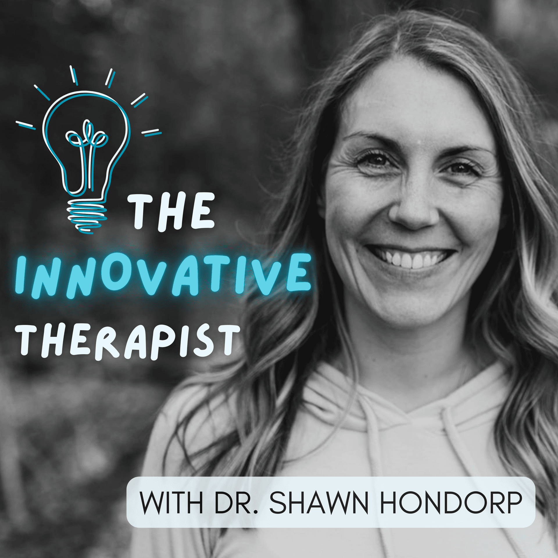The Innovative Therapist cover
