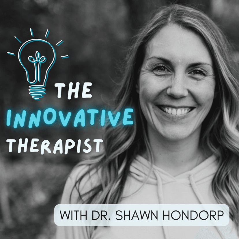 The Innovative Therapist cover