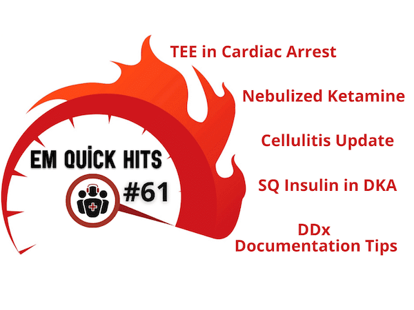 EM Quick Hits 61 TEE in Cardiac Arrest, Nebulized Ketamine, Cellulitis Update, SQ Insulin for DKA, Medicolegal DDx Documentation Tips - Emergency Medicine Cases cover