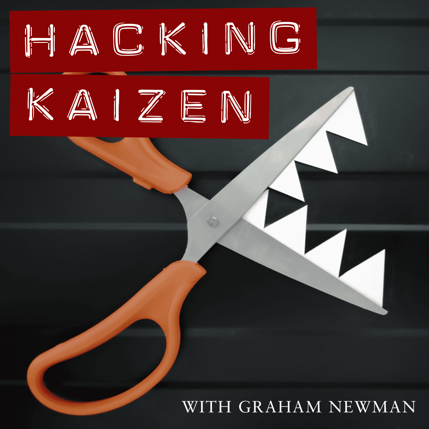 Driving digital: business development strategies - Hacking Kaizen cover
