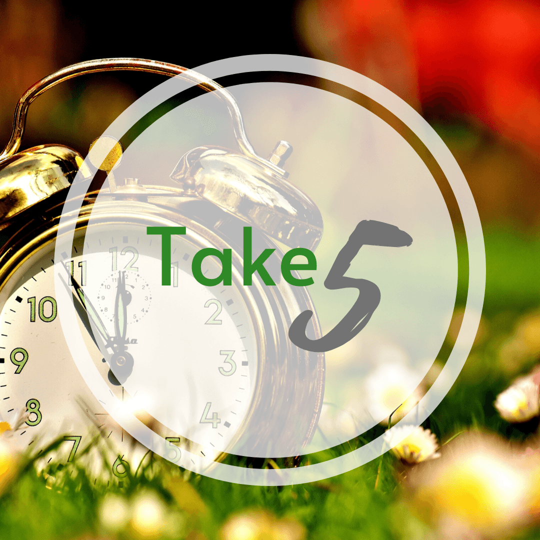Take Five: Craig Ewan, Operations Director, The Kingsmills Group in Scotland - Newleaf Training and Development cover