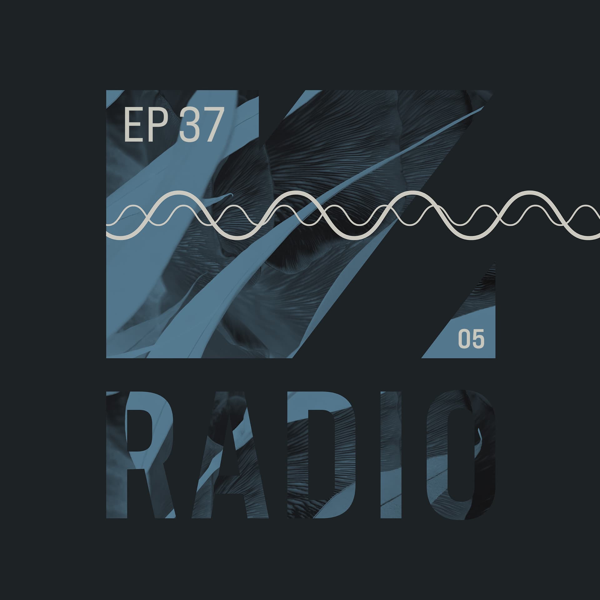 VISION Radio S05E37 - VISION Radio cover