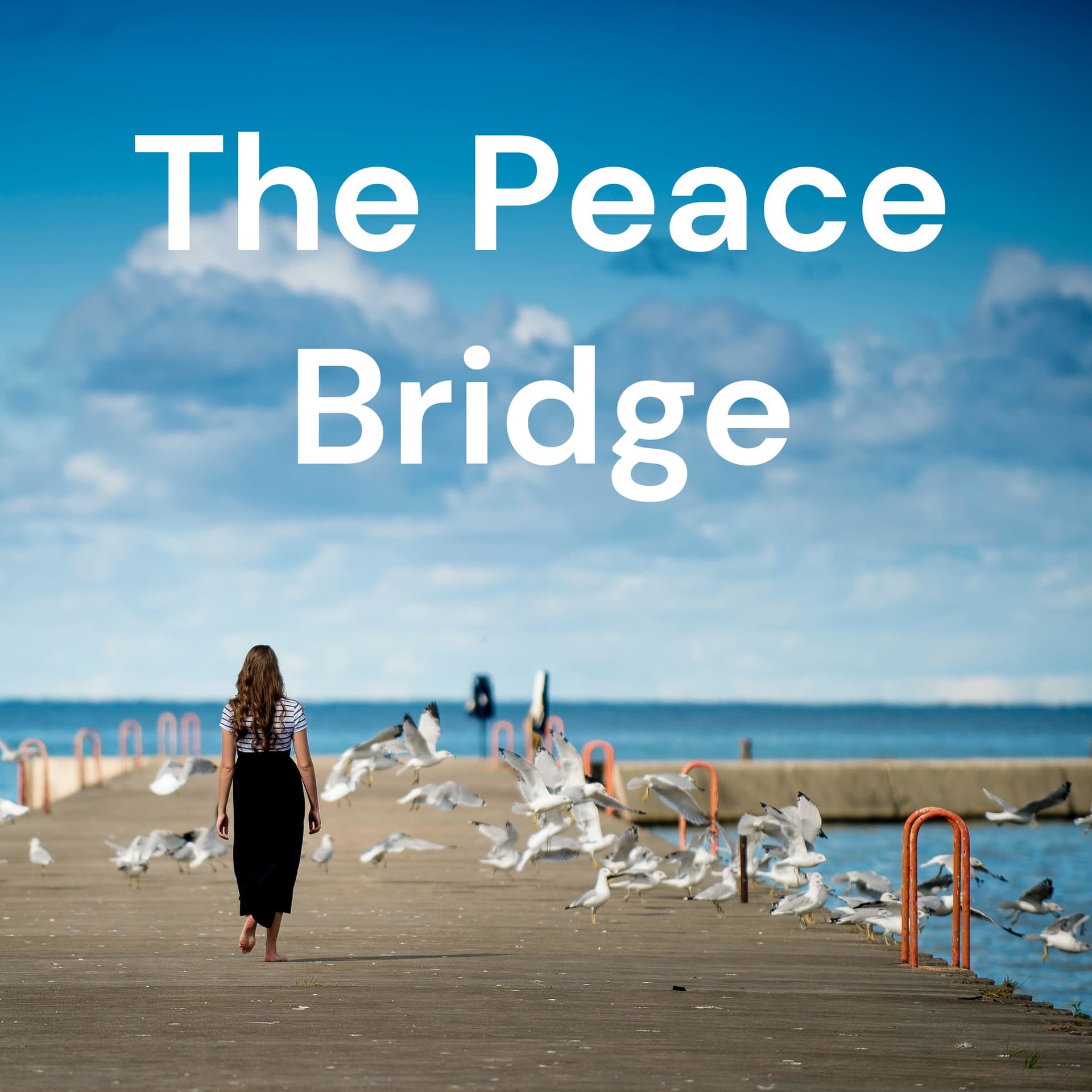 The Peace Bridge cover