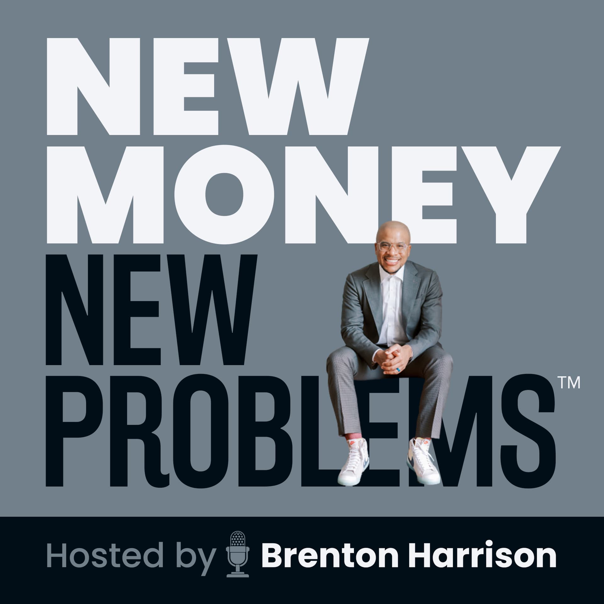 Seth Godin on The New Money New Problems Podcast — New Money New Problems Podcast cover